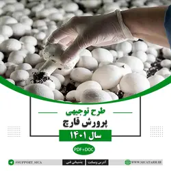 طرح توجیهی پرورش قارچ سال ۱۴۰۱