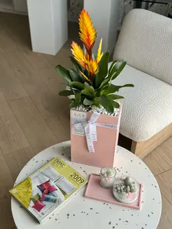 گلدان بتنی افقی بزرگ و گیاه ورزیا زرد