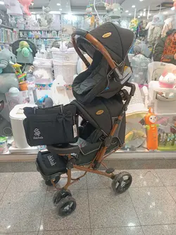 سرویس کالسکه چیچک مشکی با بدنه بنیتا دلیجان