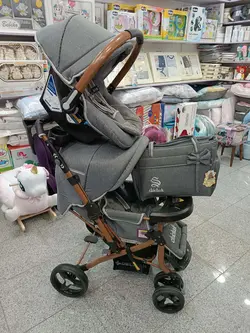 سرویس کالسکه چیچک طوسی با بدنه بنیتا دلیجان