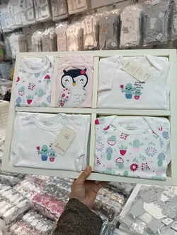 نوزده تیکه دانالو جغد و کاکتوس