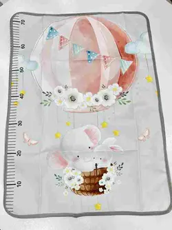 زیرانداز تعویض اقتصادی