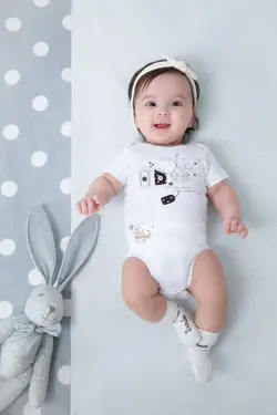 سینزده تیکه دانالو خرگوش