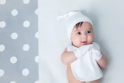 سینزده تیکه دانالو خرگوش