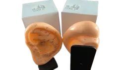 مولاژ گوش ایستاده