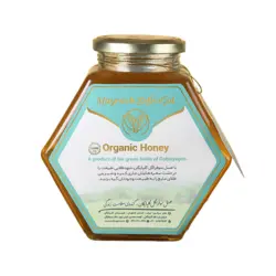 عسل گون 1200 گرم