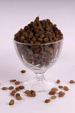 خرید و قیمت کشمش سایه خشک+ارسال فوری به سراسر کشور