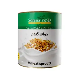 جوانه گندم