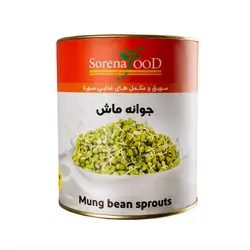 جوانه ماش