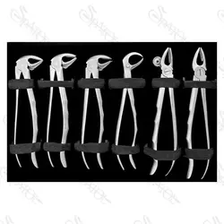 ست فورسپس بزرگسال Forceps Set دنتال دیوایس Dental Devices