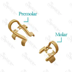 کلمپ نگهدارنده رول پنبه Zt Dental