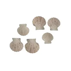 صدف کفه ای مدل H530 بسته 6 عددی