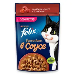 پوچ گربه بالغ فلیکس تکه های گوشت گاو و گوجه فرنگی در سس 75 گرم