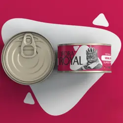 کنسرو گربه نچرال فیفورا طعم گوشت 120 گرم