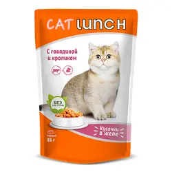 پوچ گربه کت لانچ طعم گوشت گاو و خرگوش در ژله