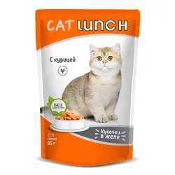 پوچ گربه کت لانچ طعم مرغ در ژله