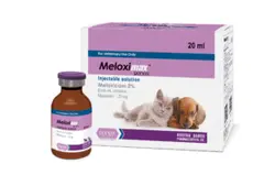 ملوکسیکام 2% | ‌Meloxicam 2%