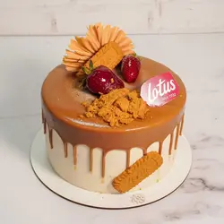 کیک لوتوس بزرگ