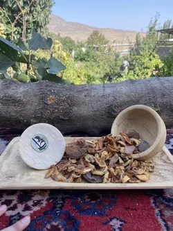 برگه زردآلو