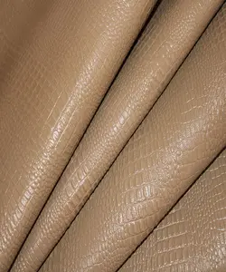 بزی کروکودیل ویزون