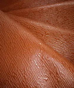 ریپل گاوی عسلی