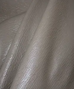 ریپل گاوی ویزون