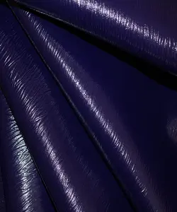 رینو بزی آبی کاربنی