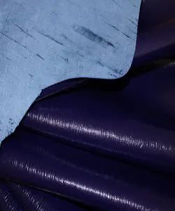 رینو بزی آبی کاربنی