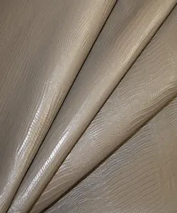 لیزارد بزی ویزون