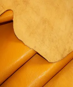 لیزارد گاوی زرد