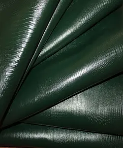 لیزارد گاوی سبز یشمی