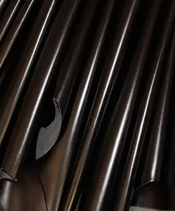 شبرو گاوی مشکی براق