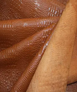 ماکرو کروکودیل بزی عسلی