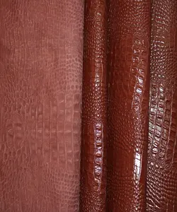 ماکرو کروکودیل بزی سماقی