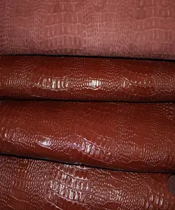 ماکرو کروکودیل بزی سماقی