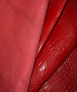 ماکرو کروکودیل بزی قرمز