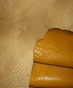 کروکودیل گاوی زرد