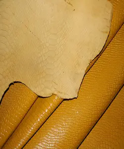 پیتون بزی زرد