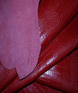 ماکرو روکو بزی قرمز