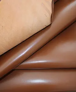 شبرو بزی عسلی کد2