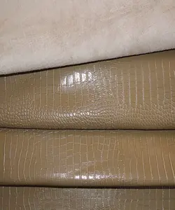 ماکرو روکو گاوی ویزون