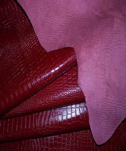 ماکرو روکو بزی زرشکی