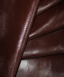 لیزارد اشبالت قهوه ای