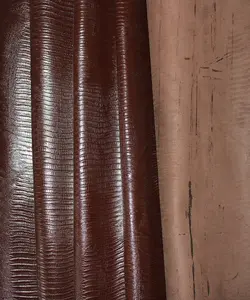 لیزارد اشبالت قهوه ای