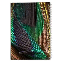 دفتر مشق برگ طاووسی