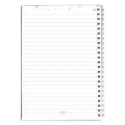 دفتر مشق کارتون تخم مرغ های سبز و ژامبون