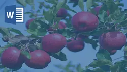 خرید و دانلود تحقیق درخت سیب