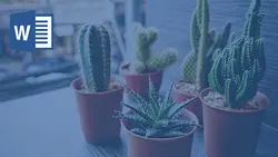 خرید و دانلود تحقیق کاکتوس