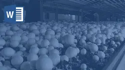 خرید و دانلود تحقیق آموزش پرورش قارچ