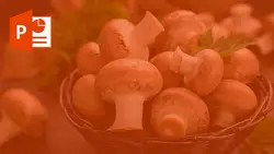خرید و دانلود پاورپوینت آموزش پرورش قارچ